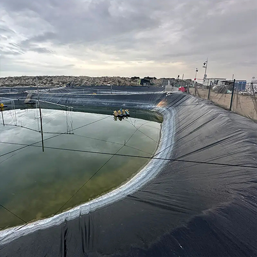 PVC Geomembrane For Shrimp Pond 