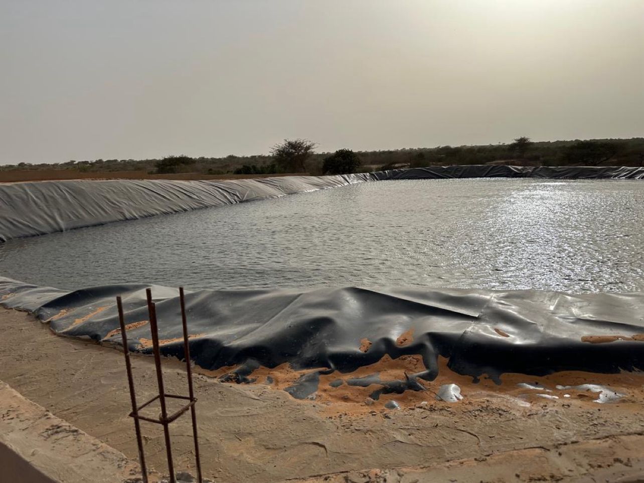 Foundation water-proof reinforced geomembrane